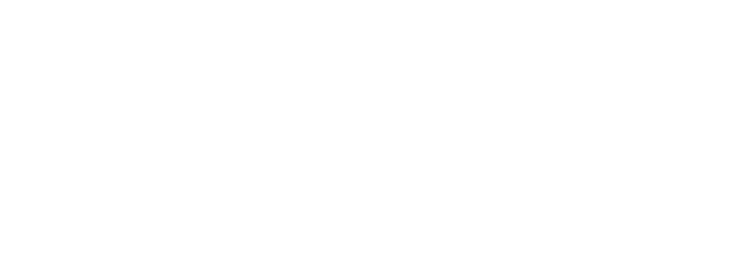 BTM COACHES White Logo